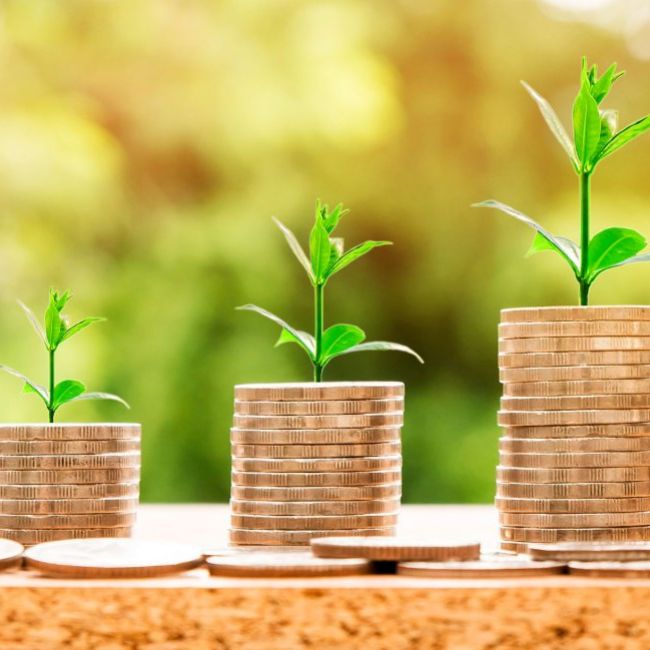 Promociones de la Farmacia Elena Barrio